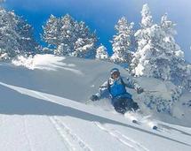 Vacances tranquilles, pour partir de chez vous en toute sérénité! Vacances tranquilles, pour partir de chez vous en toute sérénité!